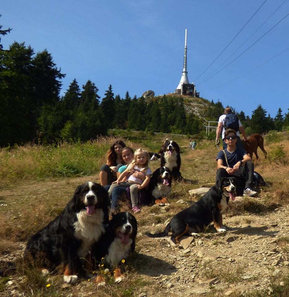 odpočinek ve vrchuv